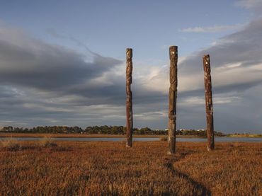 Ahuriri Estuary