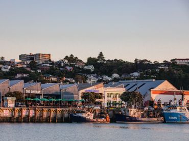 Ahuriri Marina 1024x683 1